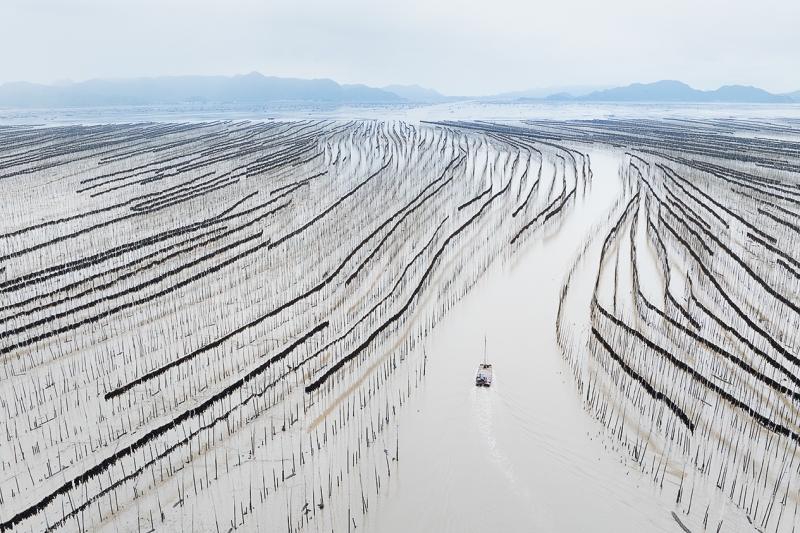 The seaweed road of Fujian