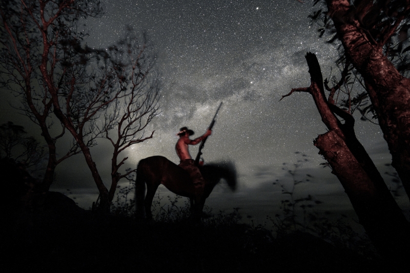 Wild Night Hunt