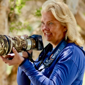 Gayle Sheahen
